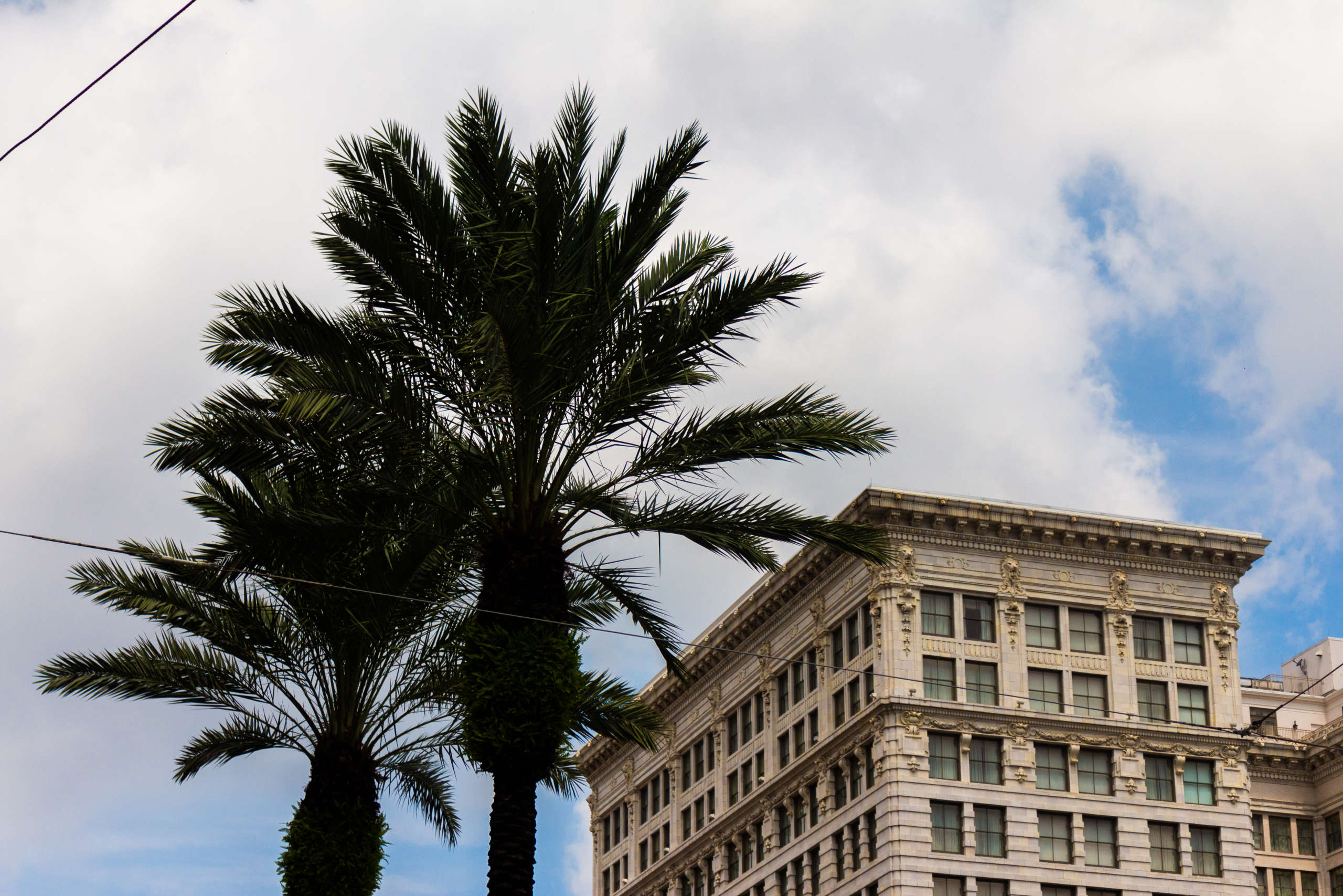 Two palm trees stand tall beside a historic building.