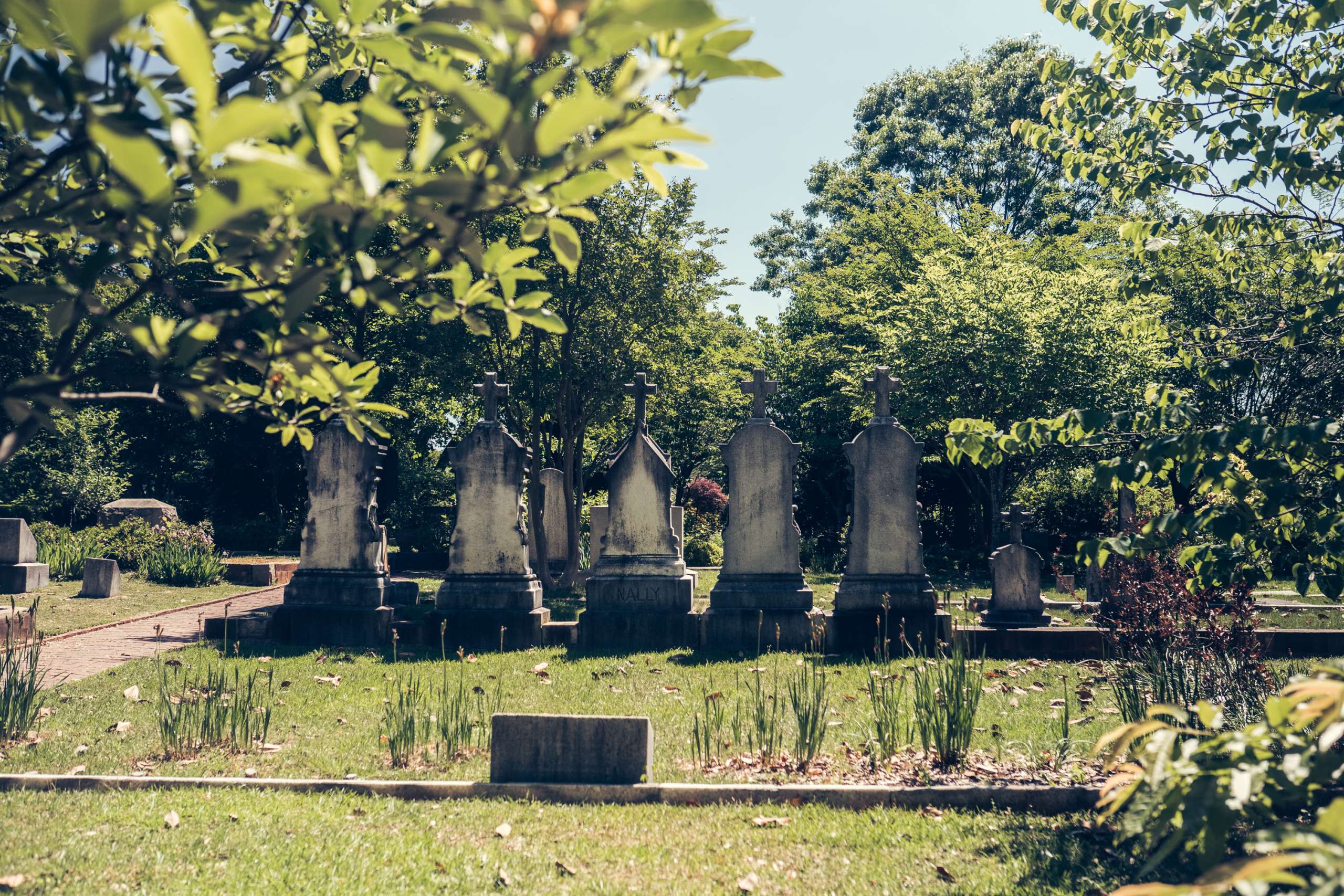 A row of tombstones in a cemetery.