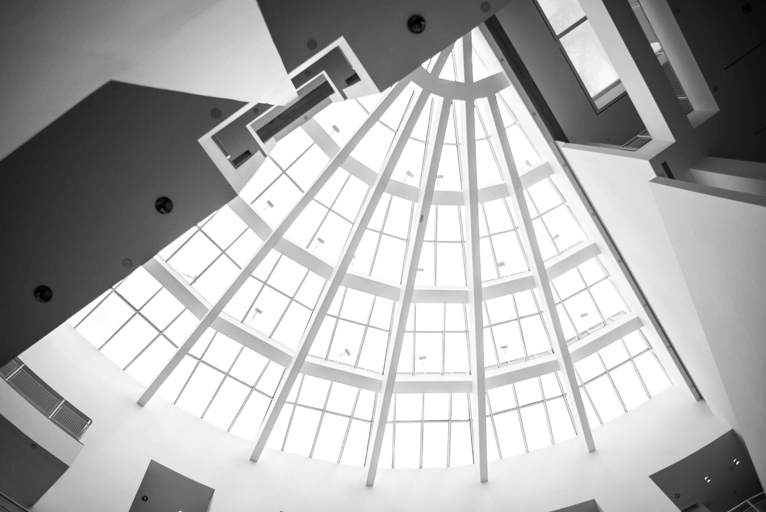 Skylight in black and white.