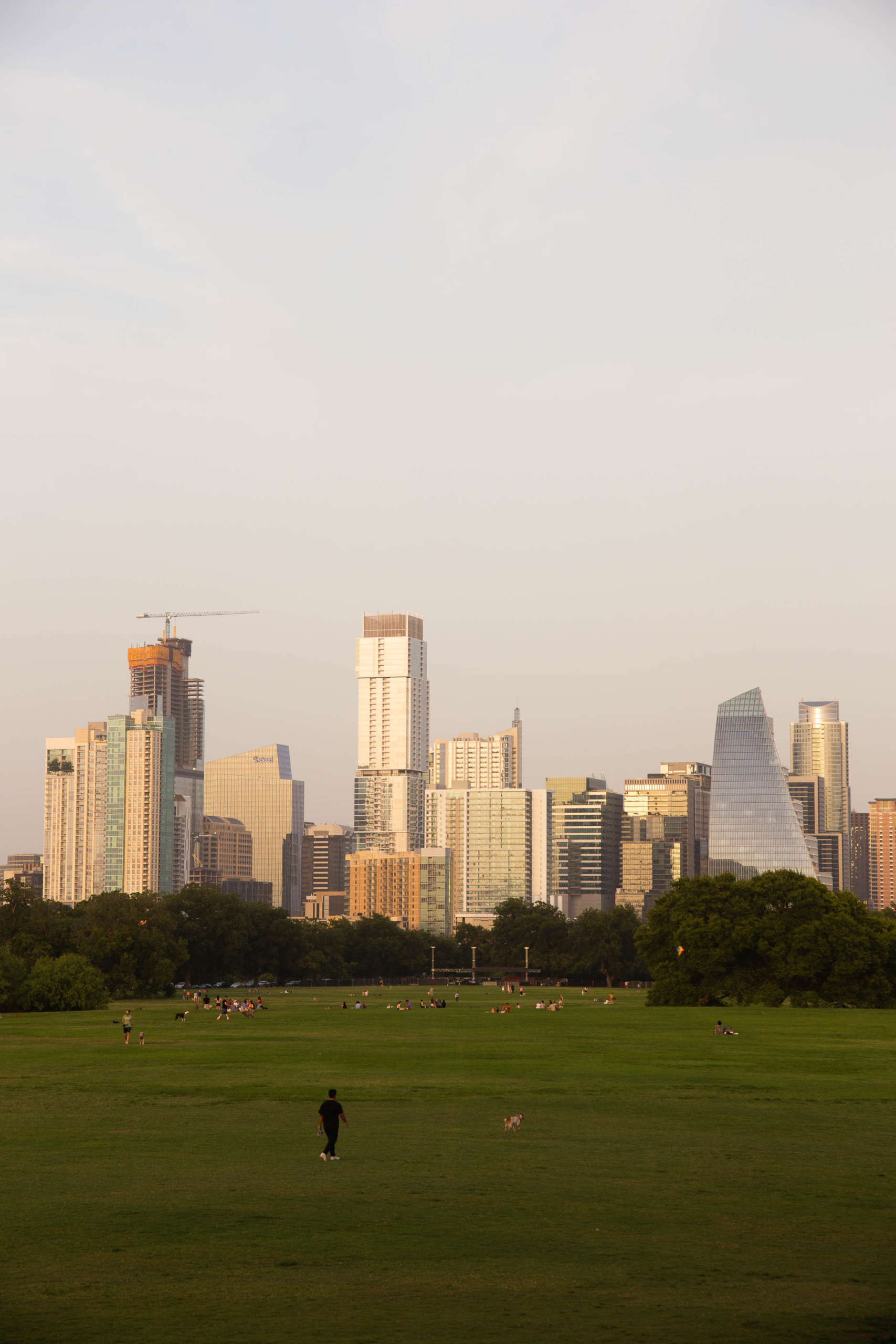 A city skyline, seen from across an open grassy park. People are scattered on the grass in the distance, watching a game, while a man plays with a dog in the foreground. The city buildings reflect the last quiet colors of a sunset: blue, tan, soft orange, white. The sky above them is similarly softly-colored, pink and blue, with traces of clouds.