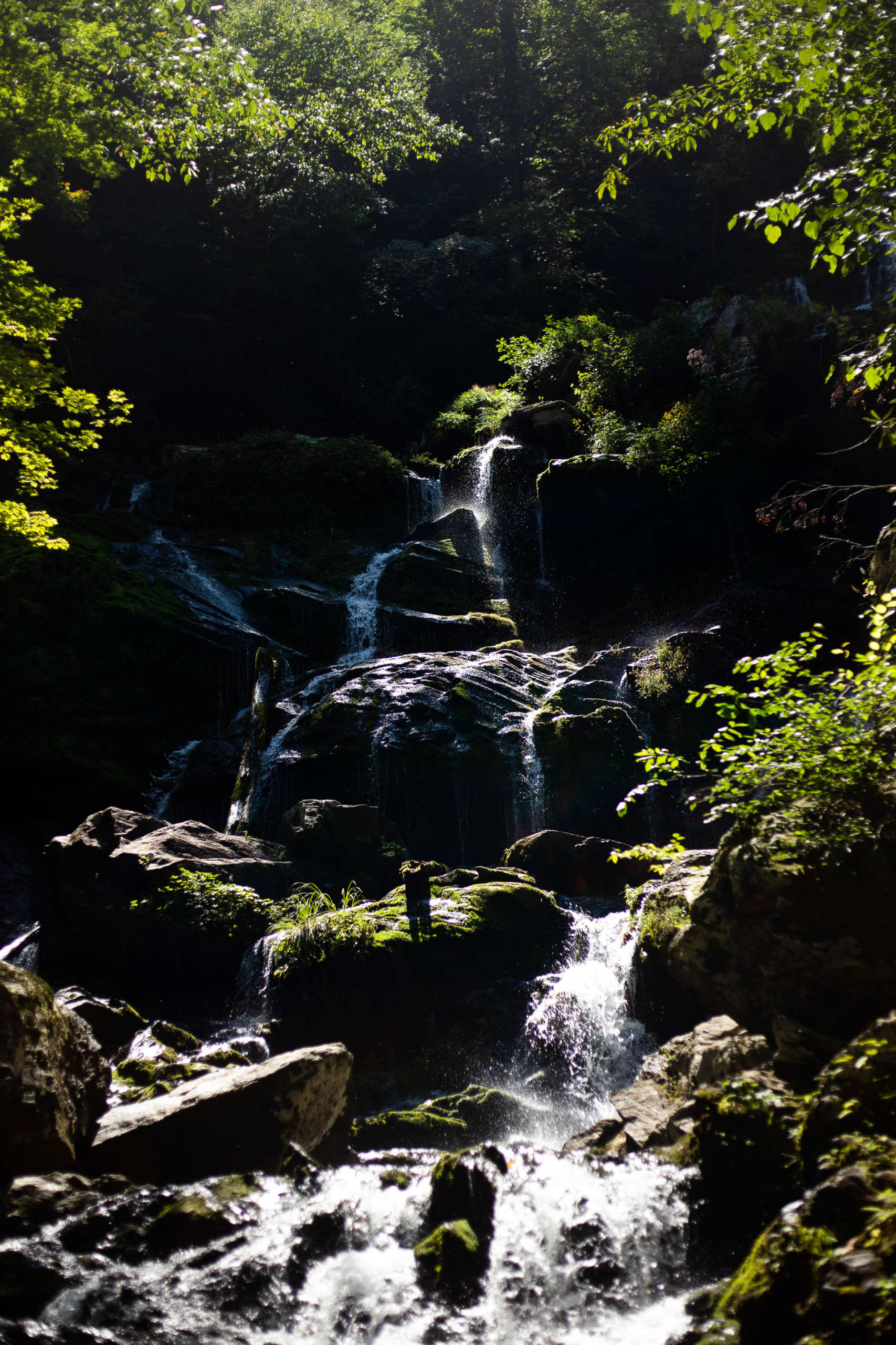 A waterfall in a wooded area splits into several streams as it pours over mossy rocks under bright sunlight. The photo is broken up into areas of bright light and sharp shadow.