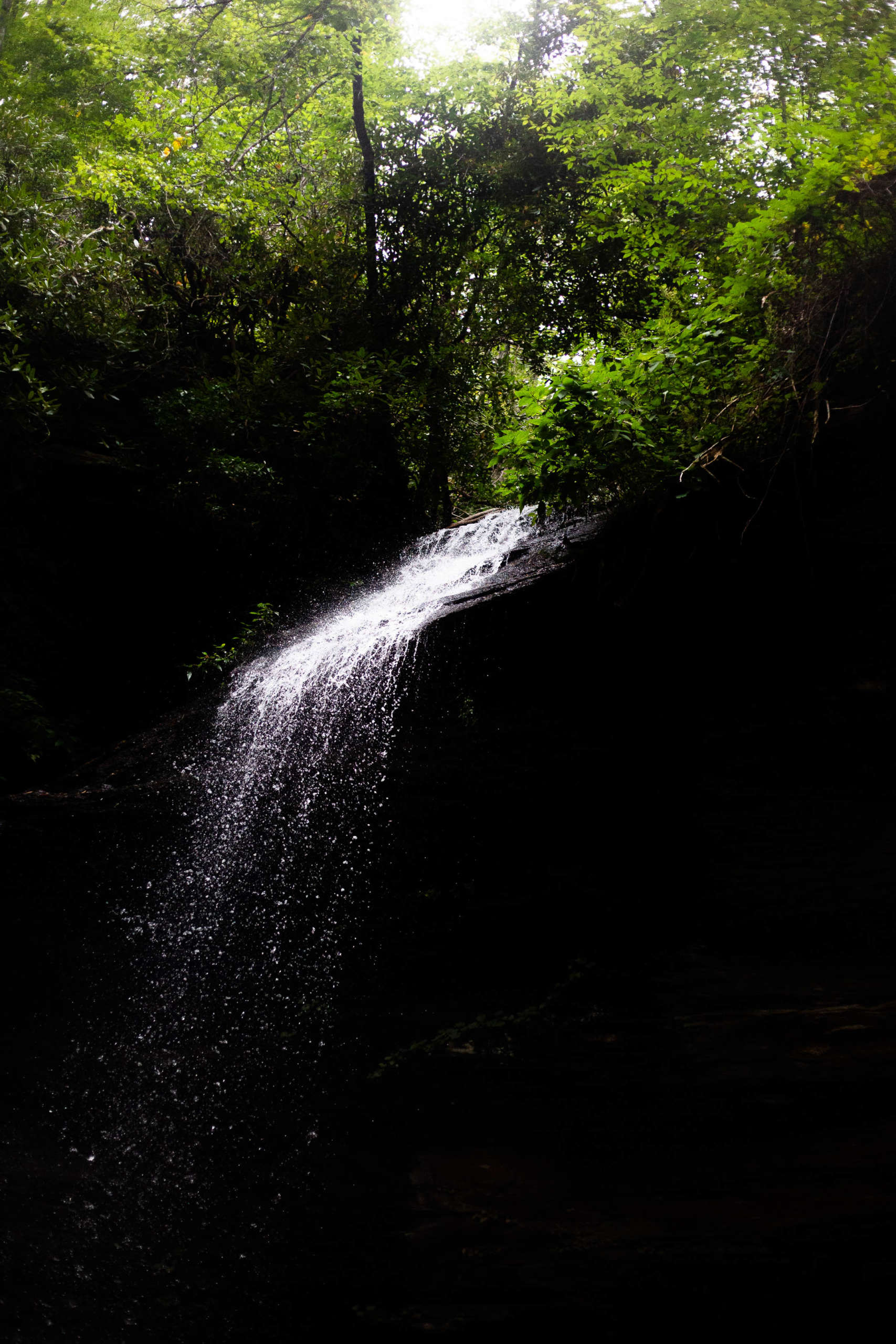 A waterfall pours off a cliff into black shadows, droplets catching the sunlight. The top of the waterfall is surrounded by trees and the sun can be seen through their leaves.